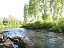 Maisemat,eläimet ja kasvit