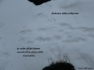 Maisemat,eläimet ja kasvit